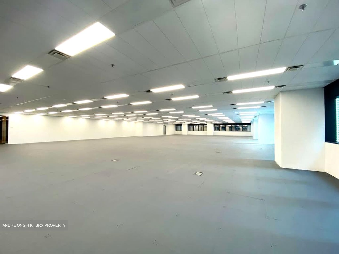 Robinson 77 (D1), Office #592830661